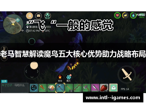 老马智慧解读魔鸟五大核心优势助力战略布局 老马智慧解读魔鸟五大核心优势助力战略布局