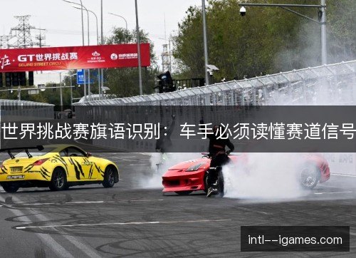 世界挑战赛旗语识别：车手必须读懂赛道信号